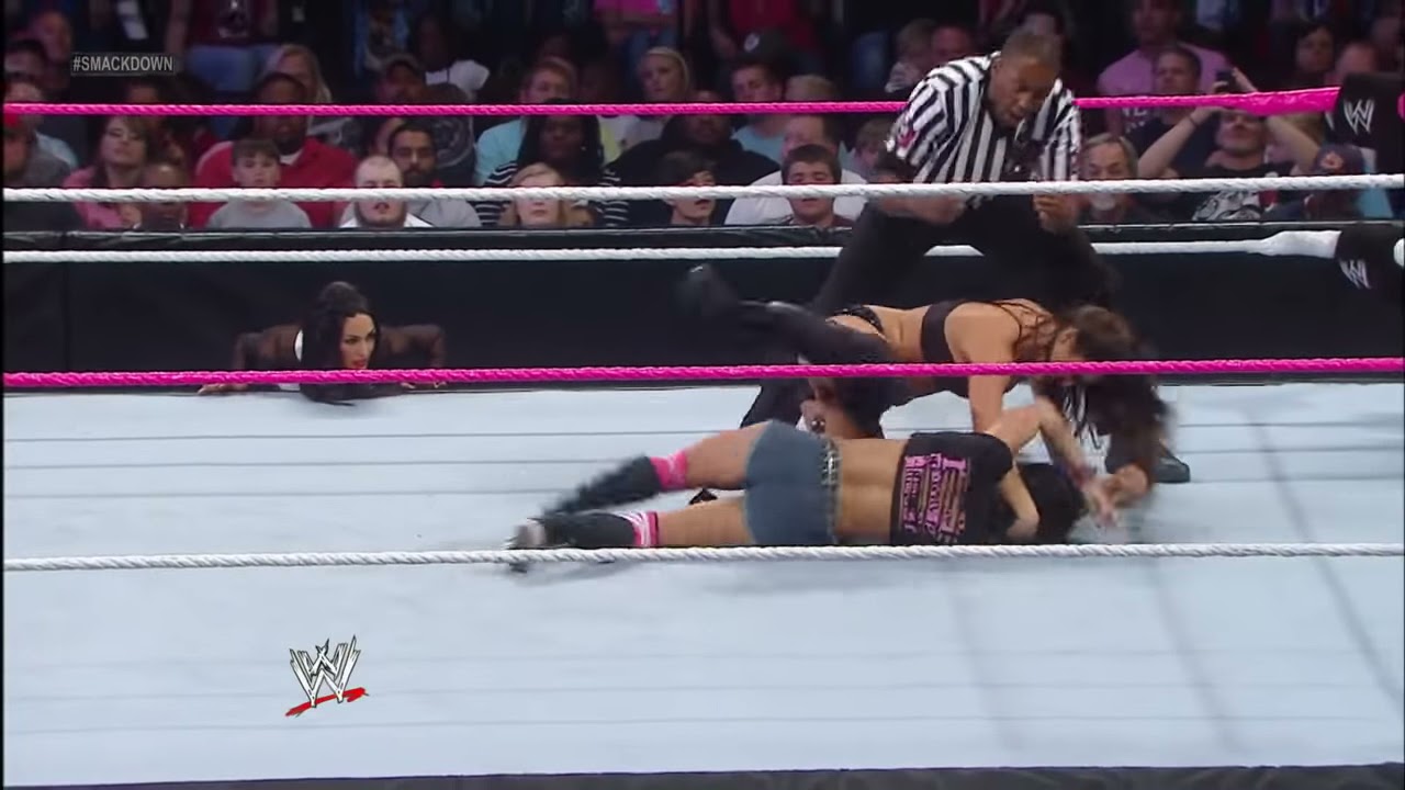AJ Lee vs. Nikki Bella: SmackDown, October 25, 2013