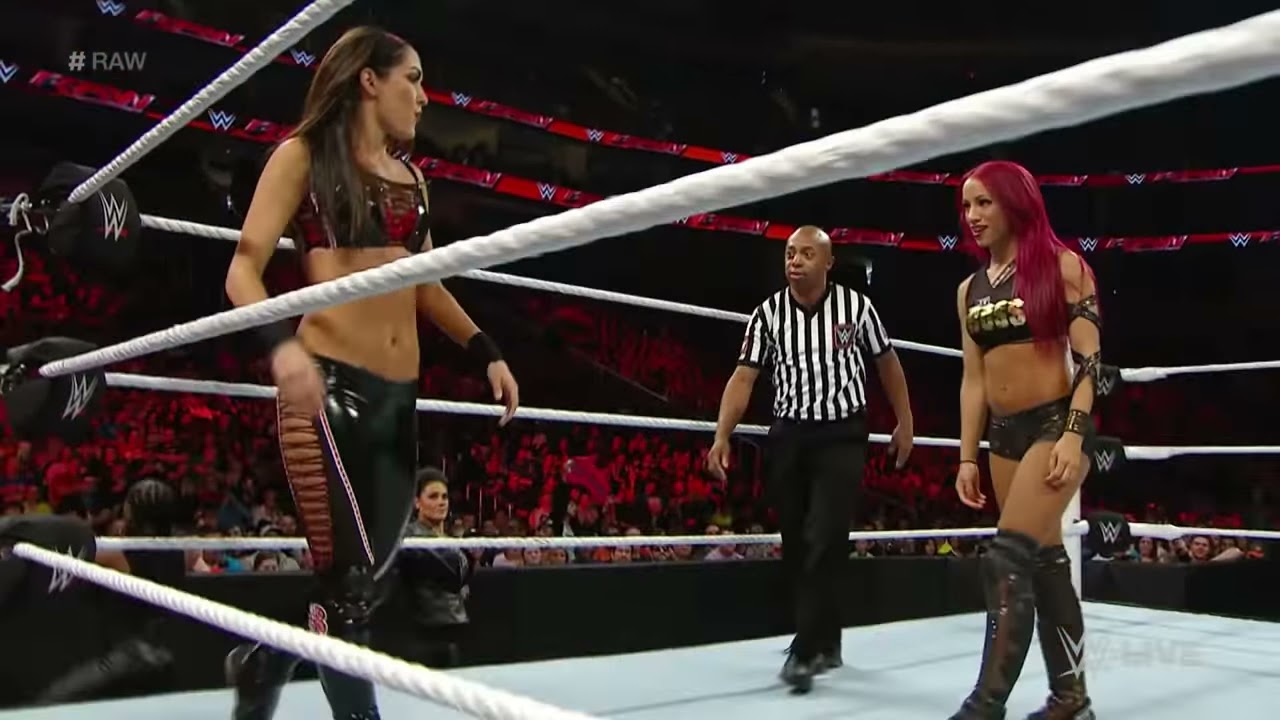 Sasha Banks vs. Brie Bella: Raw, November 30, 2015 background