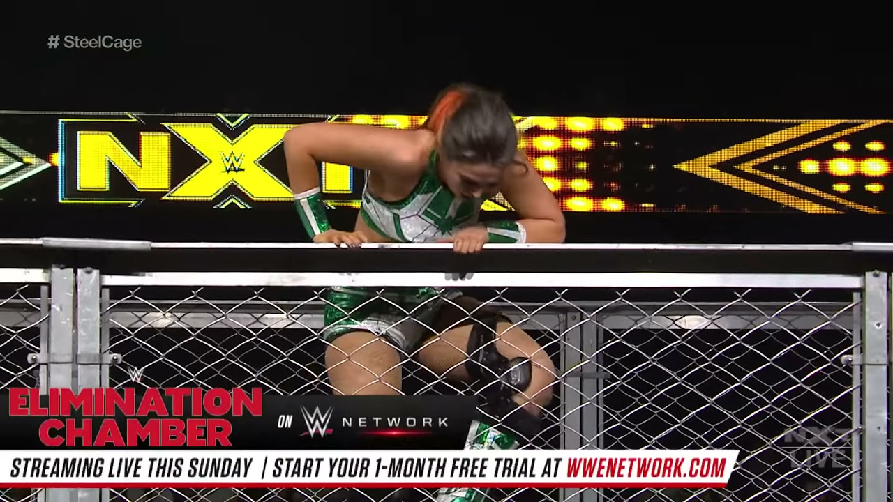 Dakota Kai vs. Tegan Nox - Steel Cage Match: WWE NXT, March 04, 2020 background