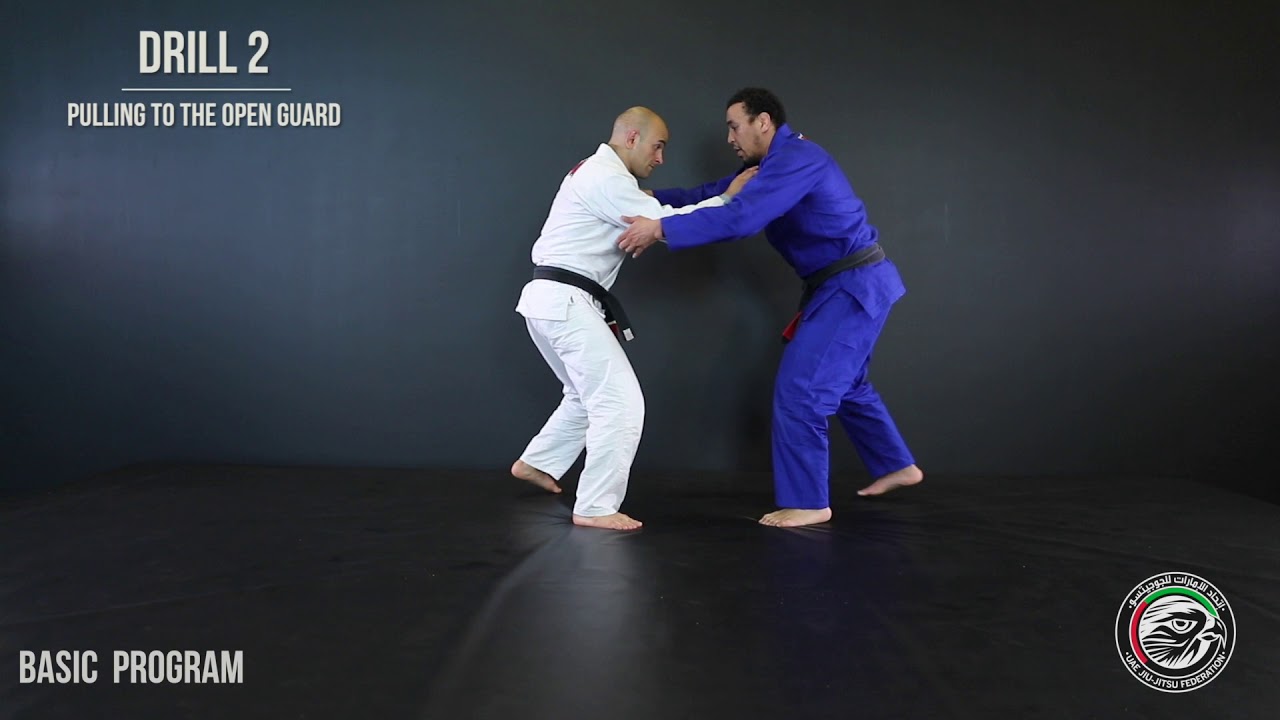 Jiu-Jitsu Drills - Lesson 29