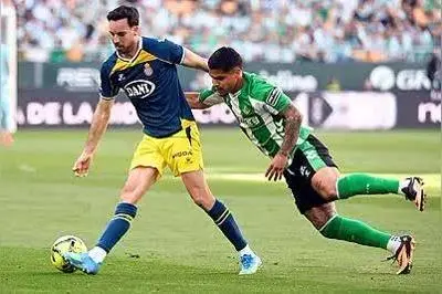 Full Match Highlights