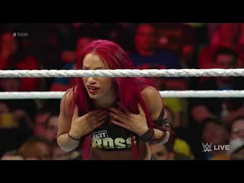 Sasha Banks vs. Brie Bella: Raw, November 30, 2015 background