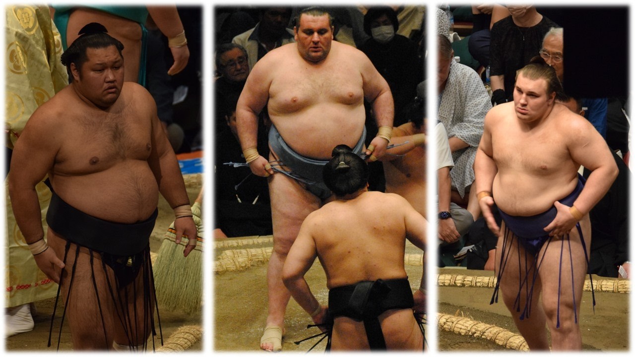 Aonishiki breaks toe + who will win retired wrestler tournament? (Sumo News, Apr 3rd)