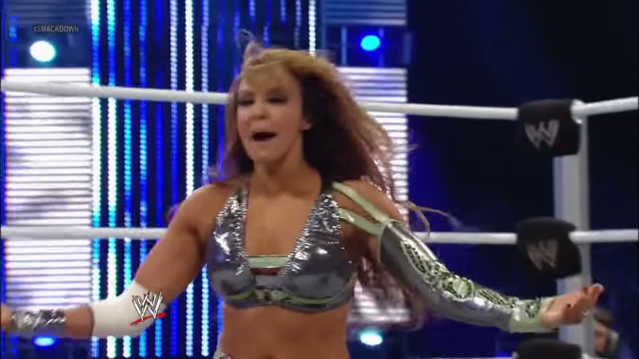 Tamina Snuka vs. Layla: SmackDown, January 04, 2013 background