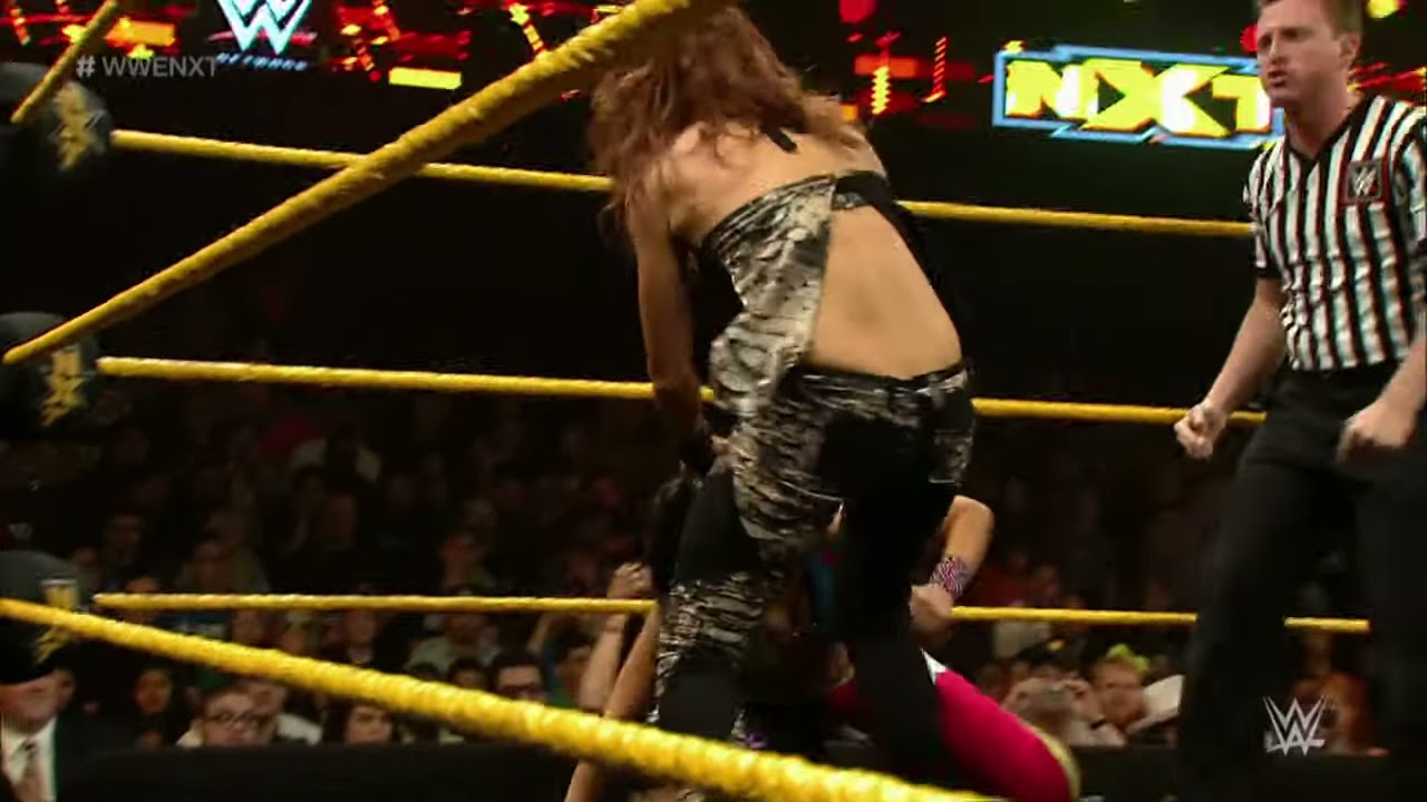 Becky Lynch vs. Bayley: WWE NXT, November 20, 2014