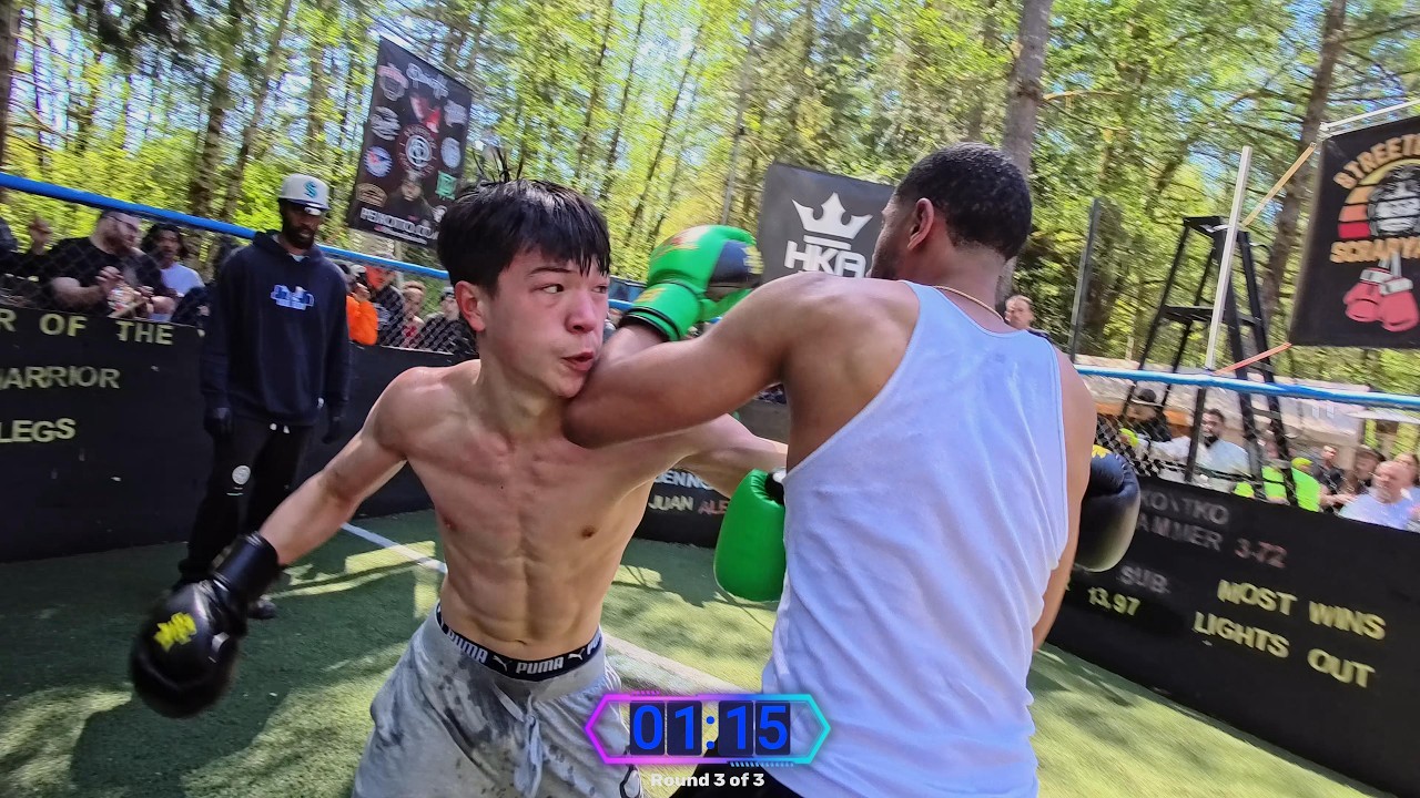 YOUR daily Dose  of fights