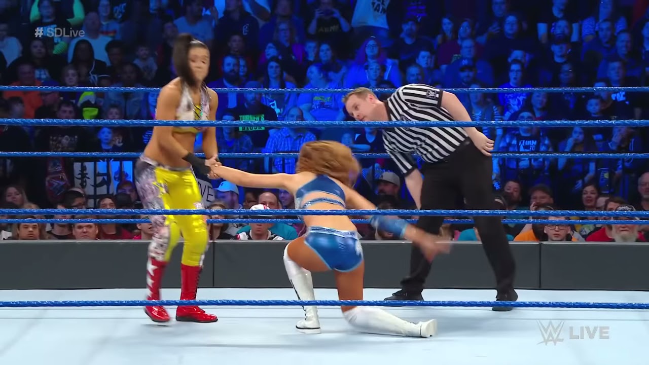 The IIconics vs. Bayley & Sasha Banks: SmackDown LIVE, March 19, 2019 background