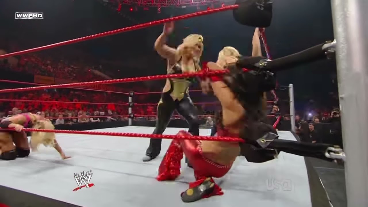 FULL MATCH - Divas Championship No. 1 Contender's Diva Battle Royal Match: Raw, May 19, 2009