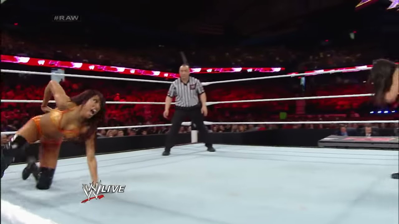 The Bella Twins vs. Aksana & Alicia Fox: Raw, March 3, 2014 background
