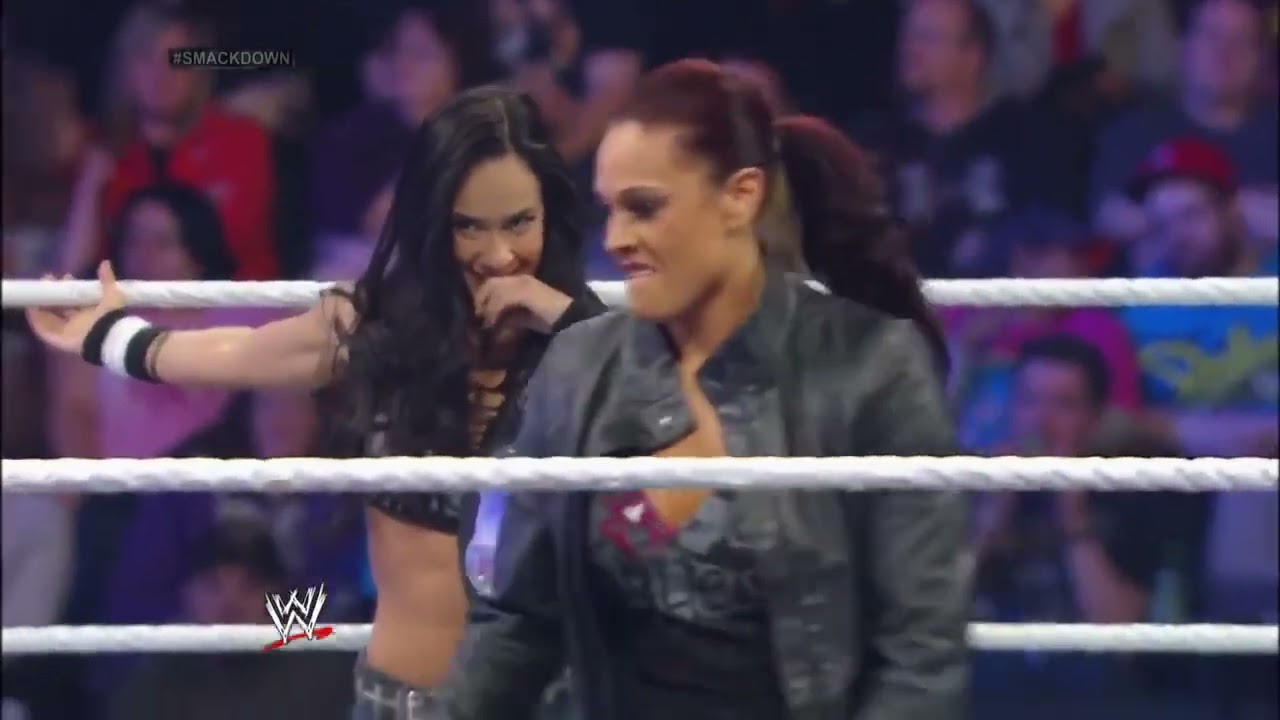 AJ Lee vs. Cameron: SmackDown, January 24, 2014