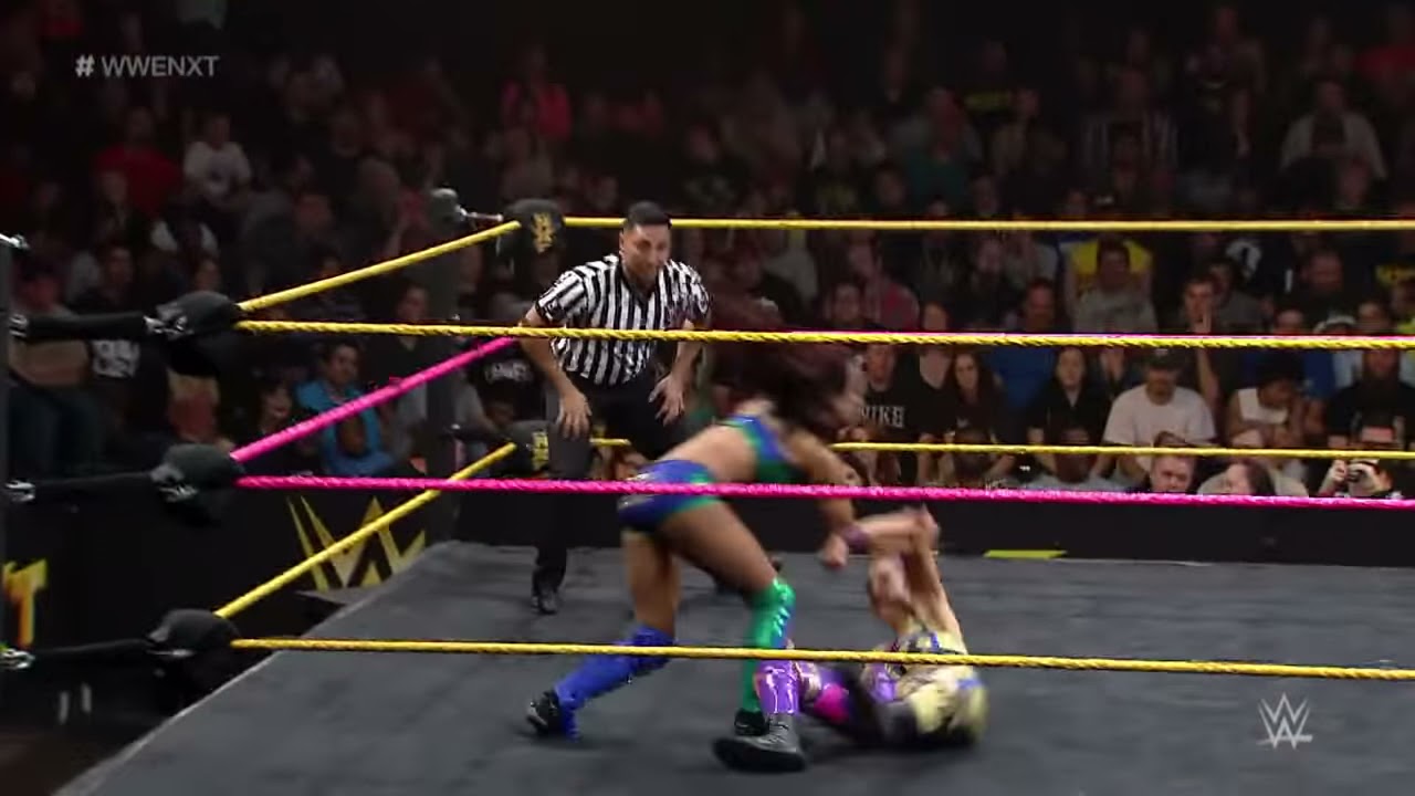 Sasha Banks vs. Bayley: WWE NXT, October 23, 2014