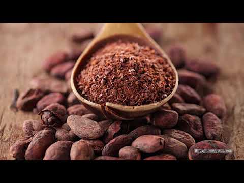 GMTF FUN FACT - CHOCOLATE ORIGINS (22/07/63) background