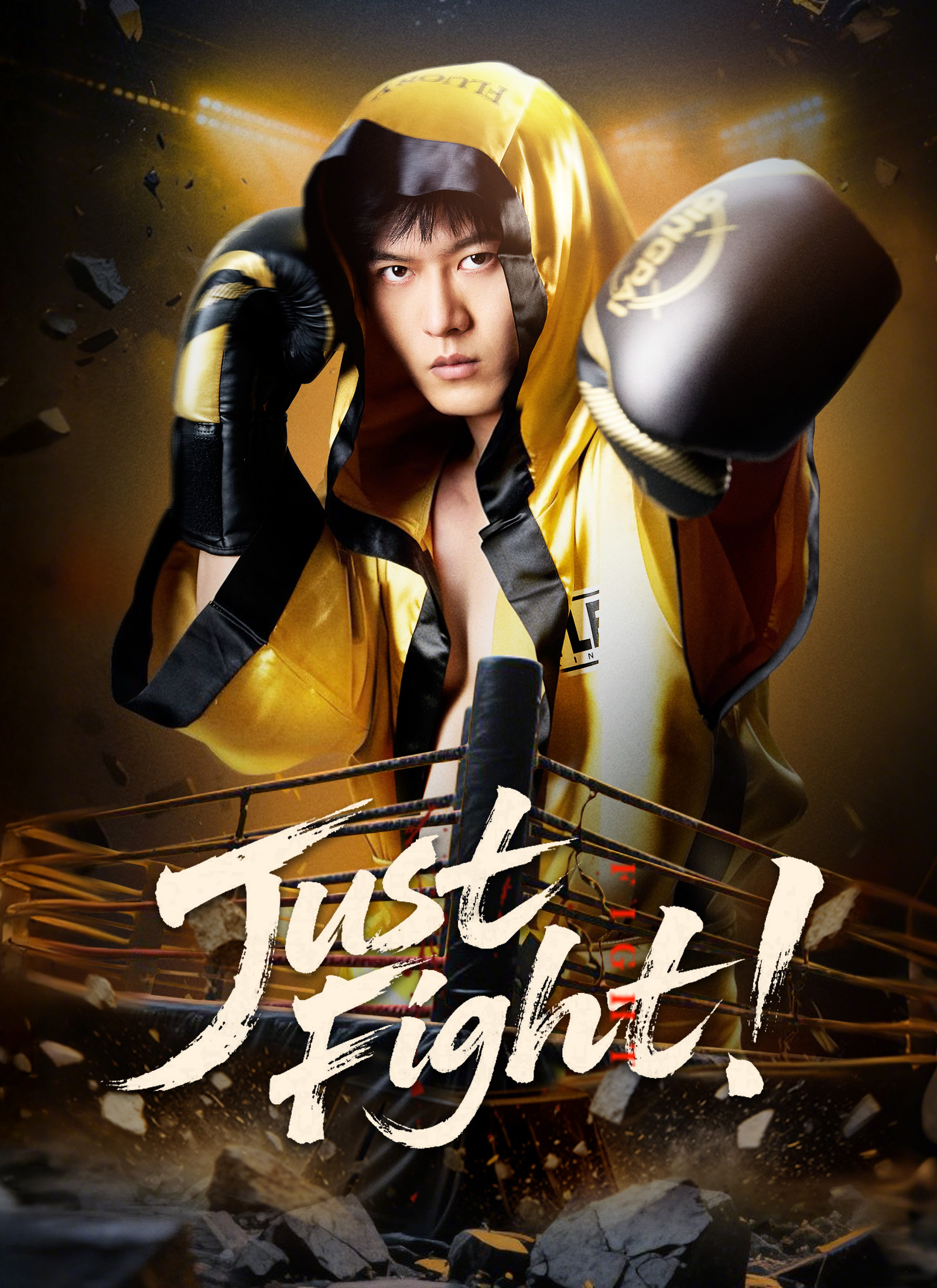 [Dubbed] Just Fight! poster