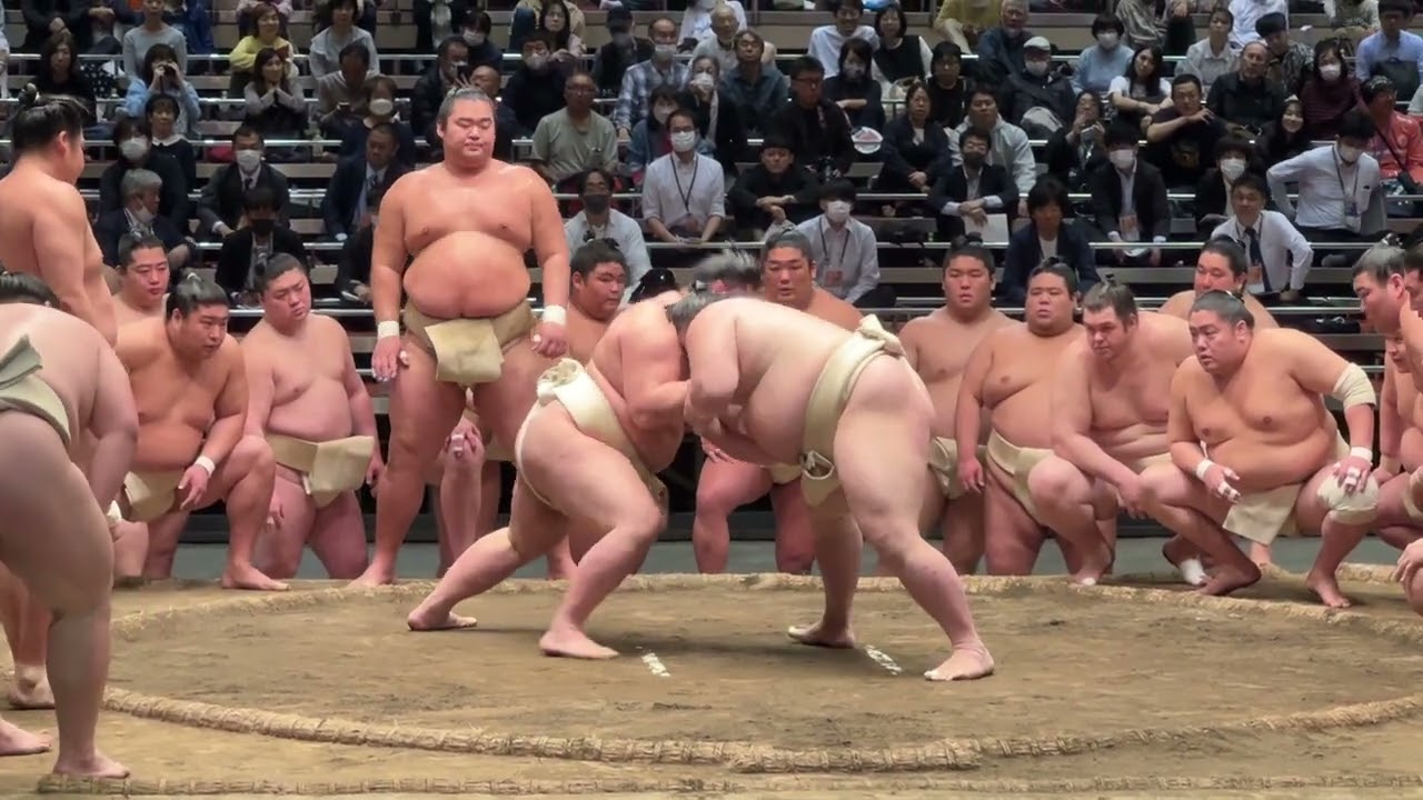 【稽古総見】若元春が3連勝✨関取申し合い稽古 2025/5/2 Wakamotoharu