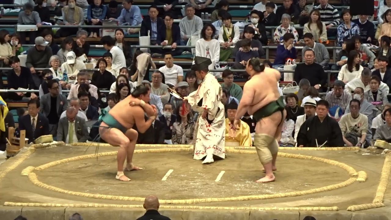 玉正鳳 vs 白鷹山【大相撲令和7年3月場所】千秋楽 15日目 2025/3/23 大阪場所 TAMASHOHO vs HAKUYOZAN background