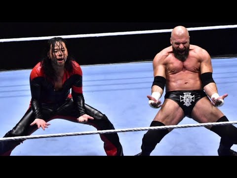 WWE TRIPLE H FINAL MATCH