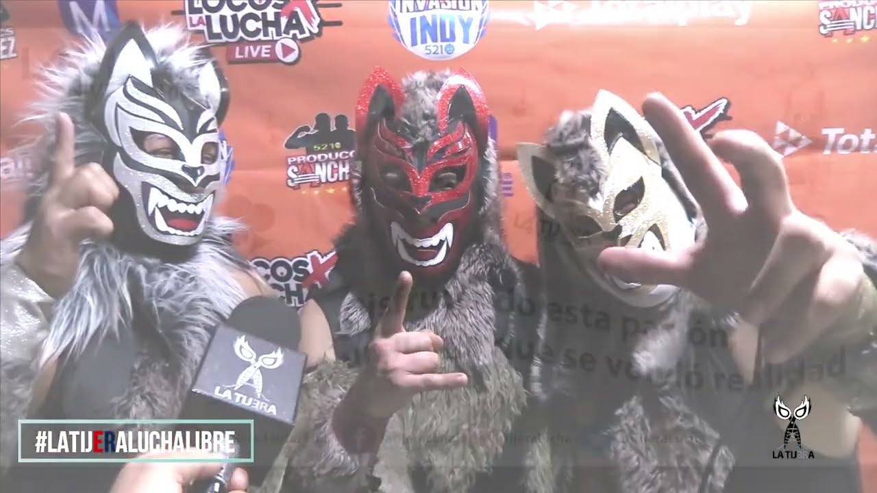 Los Lobitos: Deje pelón a Piratita. Los 3 somos una maravilla arriba del ring en nuestro primer año