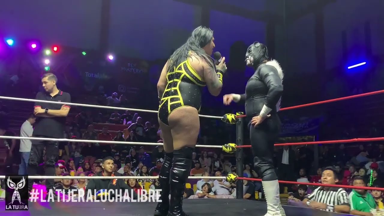 Puma: Laredo Kid tu novio de la infancia. Mamba: Tengo mĂĄs đ„đ„ que tĂș, vamos por mĂĄscara y cabellera background
