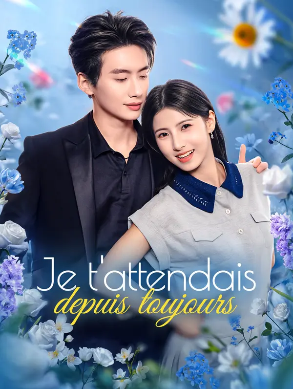 Je t'attendais depuis toujours poster