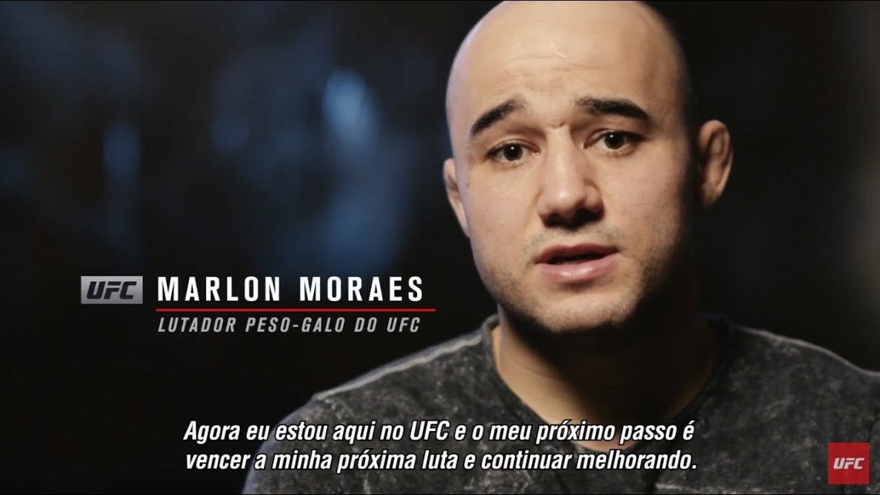 UFC Utica: Marlon Moraes - O próximo passo