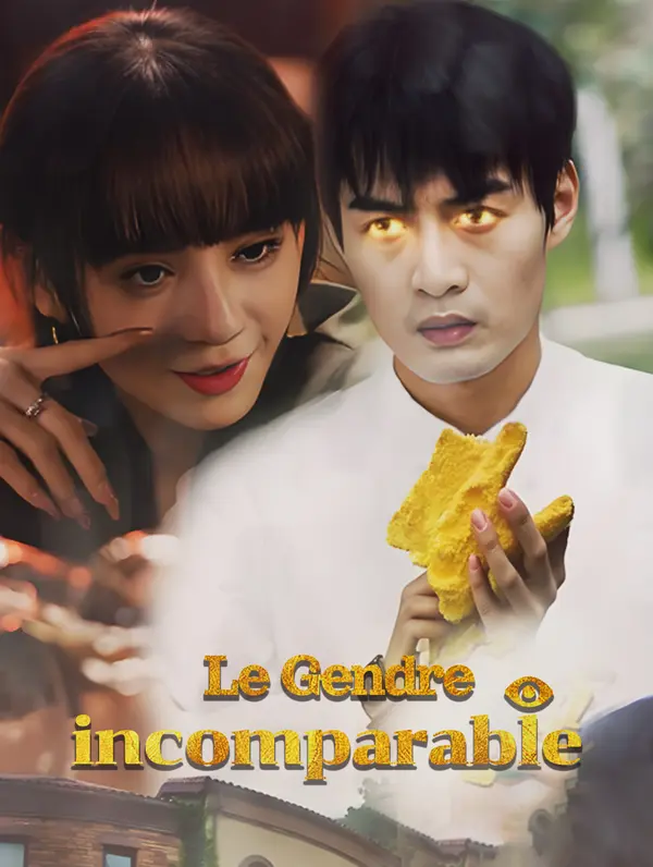 Le Gendre incomparable poster