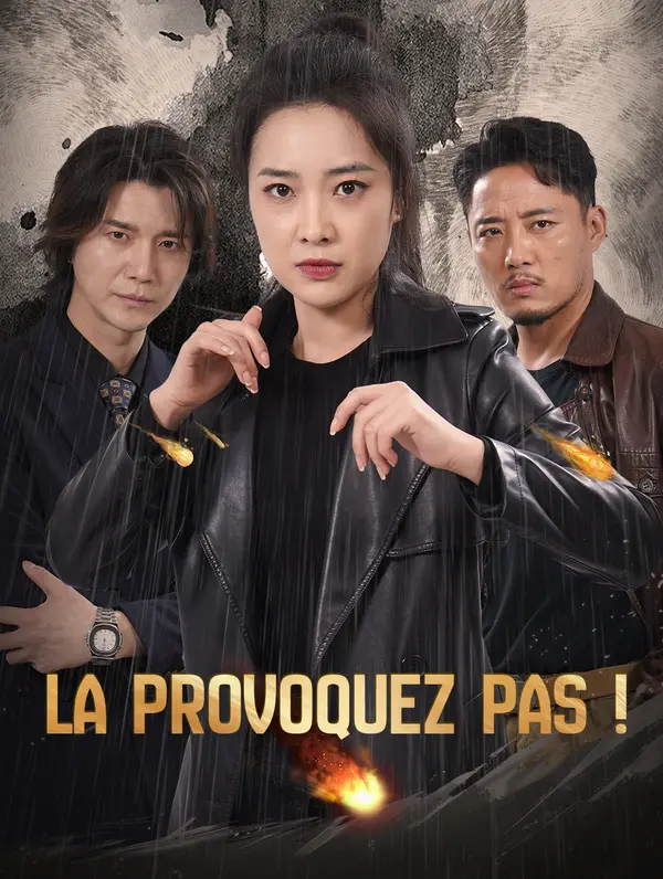 La provoquez pas ! poster