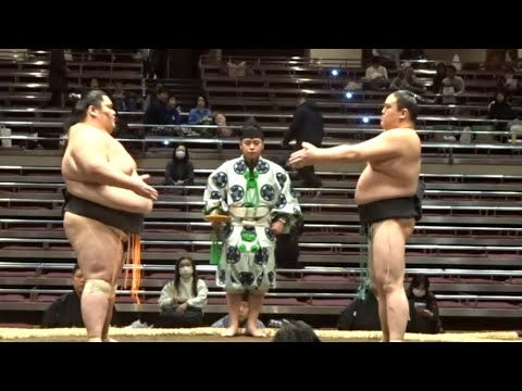 《三段目④》小滝山vs安芸乃山 琴大龍vs出羽ノ城 隆の龍vs安強羅 木瀬の海vs天風 幸乃富士vs朝大洞 克乃富士vs大雄翔 朝天舞vs栃満 ほか【大相撲令和7年1月場所】2日目 2025/1/13