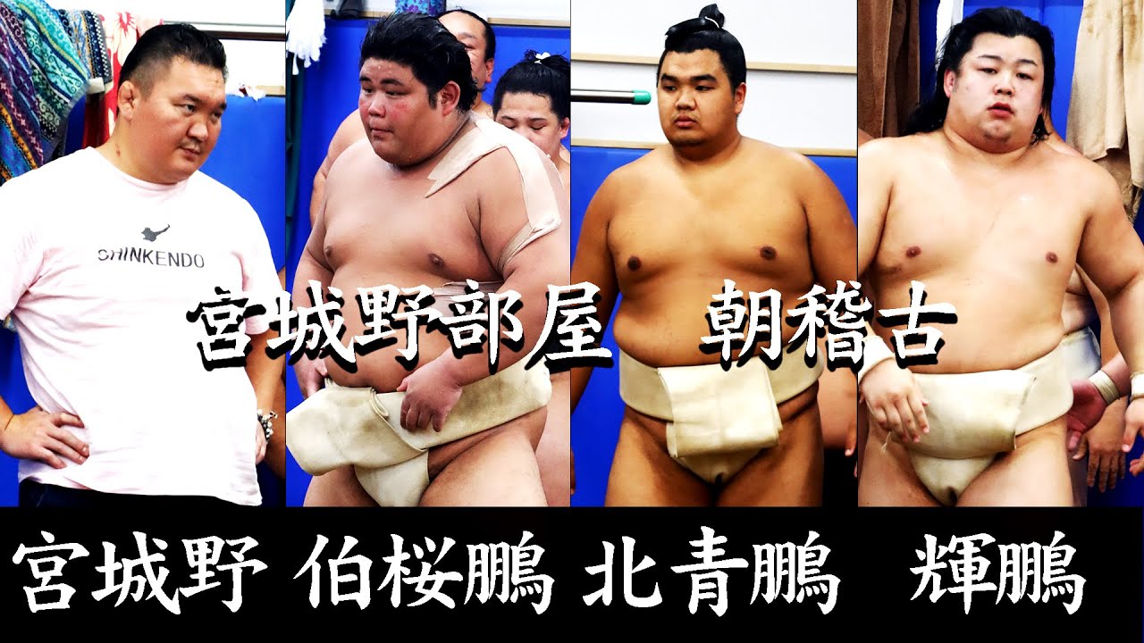 宮城野部屋の朝稽古(北青鵬、伯桜鵬、輝鵬) backdrop