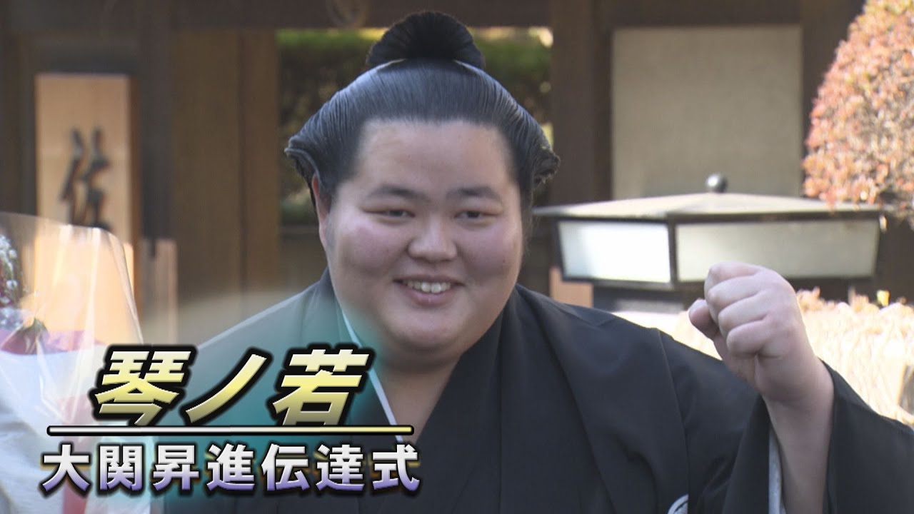 琴ノ若 新大関昇進ダイジェスト SUMO