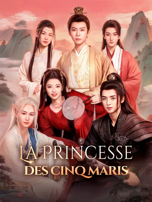 La Princesse des cinq maris poster