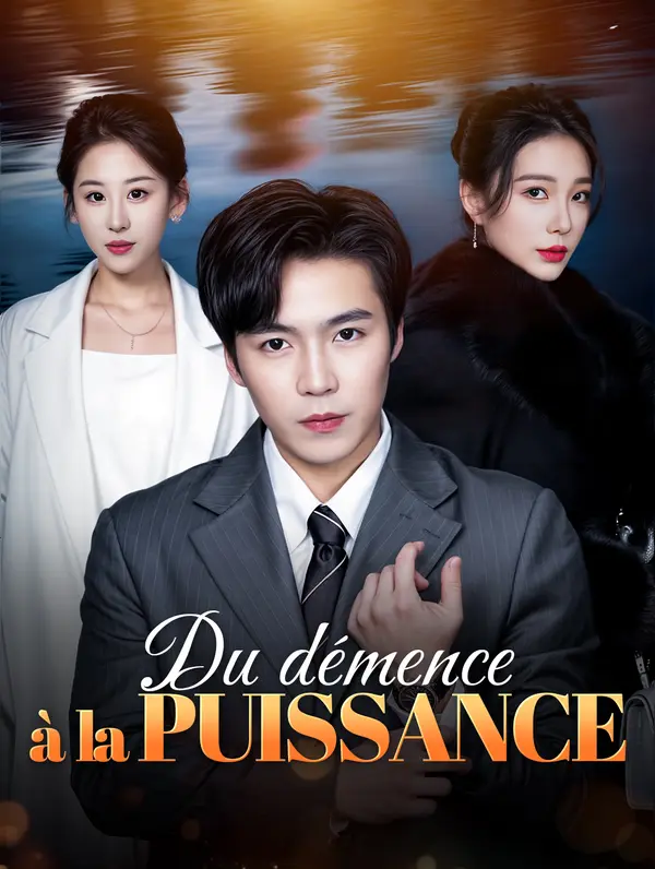 Du démence à la puissance poster