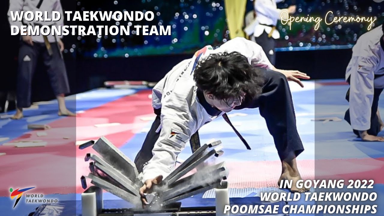Highlights of 2022 | WT Demonstration Team during Goyang 2022 WT Poomsae Opening Ceremony