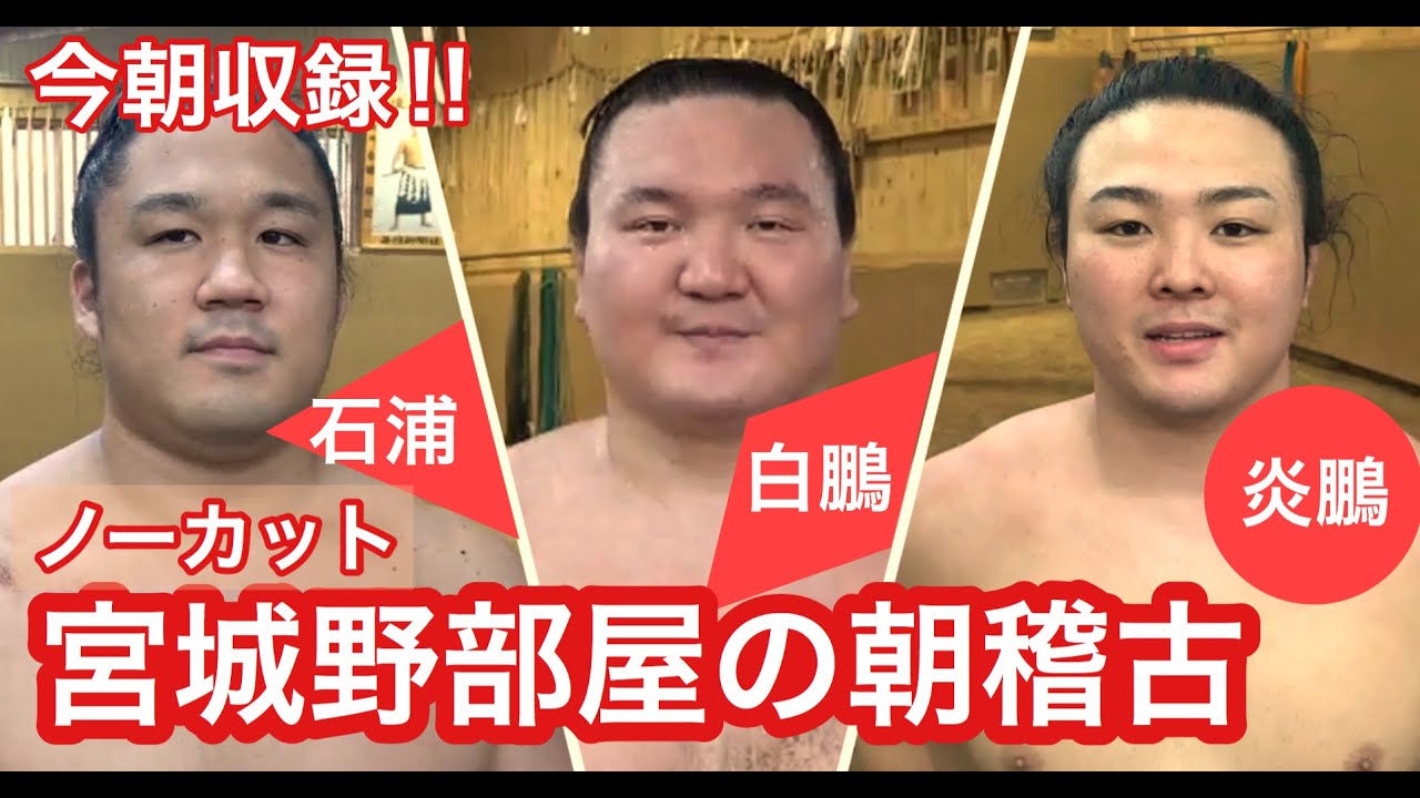 今朝収録!!【ノーカット版】宮城野部屋の朝稽古(横綱 白鵬、炎鵬、石浦)