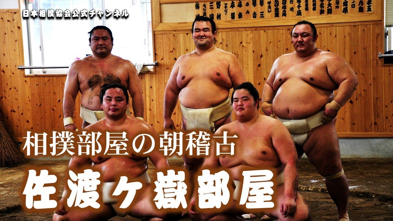 佐渡ヶ嶽部屋の朝稽古 background