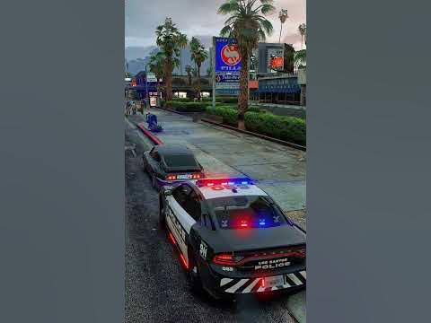 I Had No Time to React! - GTA 5 LSPDFR background