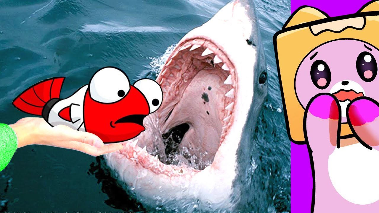 The RAINBOW FRIENDS Are PETS!? (ALPHABET LORE But It's FOOD vs RAINBOW FRIENDS PETS ANIMATION!) backdrop