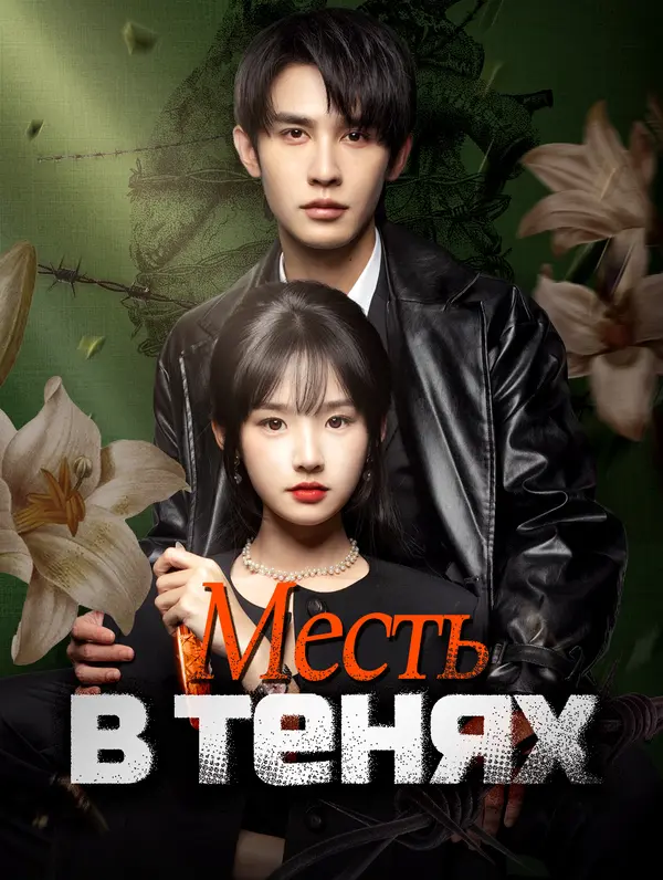 Месть в тенях poster