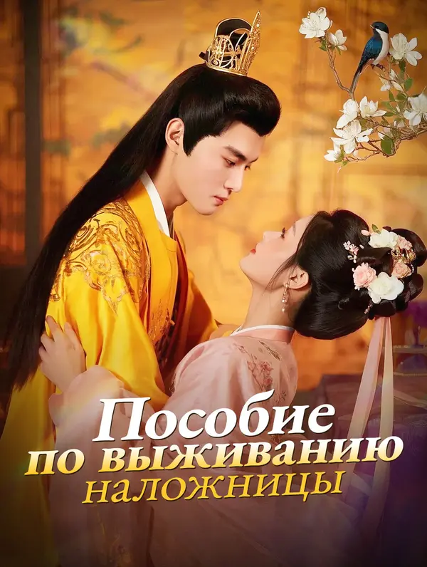 Пособие по выживанию наложницы poster