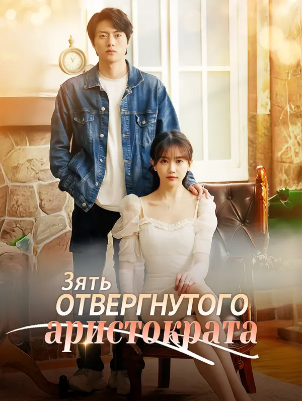 Зять отвергнутого аристократа poster