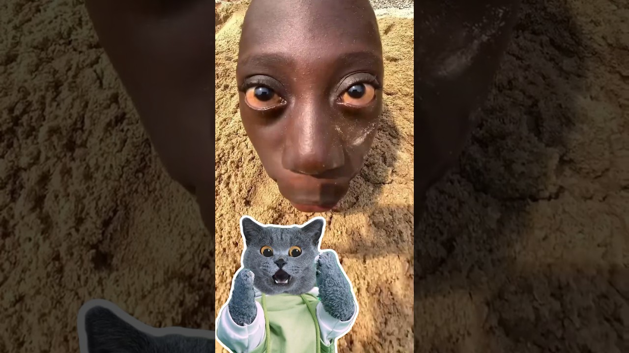 😲How I Caught The Football With A Thrill?🏈|Tenge 🇺🇬🇳🇬 #funnycat #catmemes #trending background