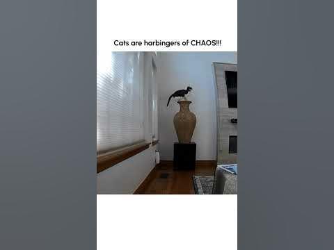 Funny Cat DESTROYS Pet Parent's Art!