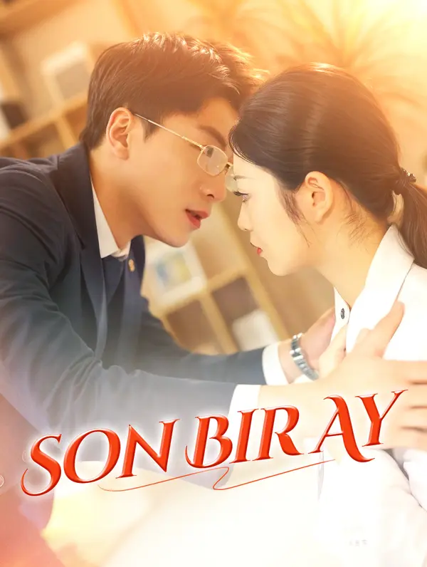 Son Bir Ay poster