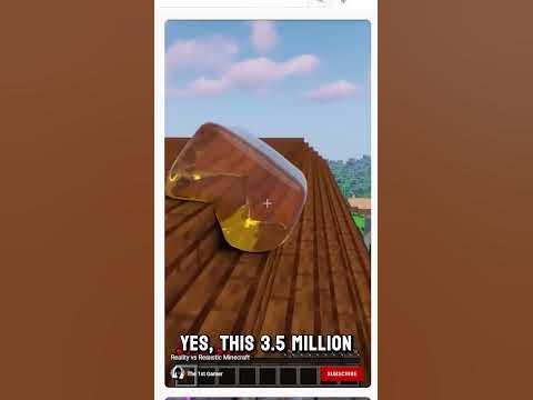 The Most Realistic Minecraft Mod