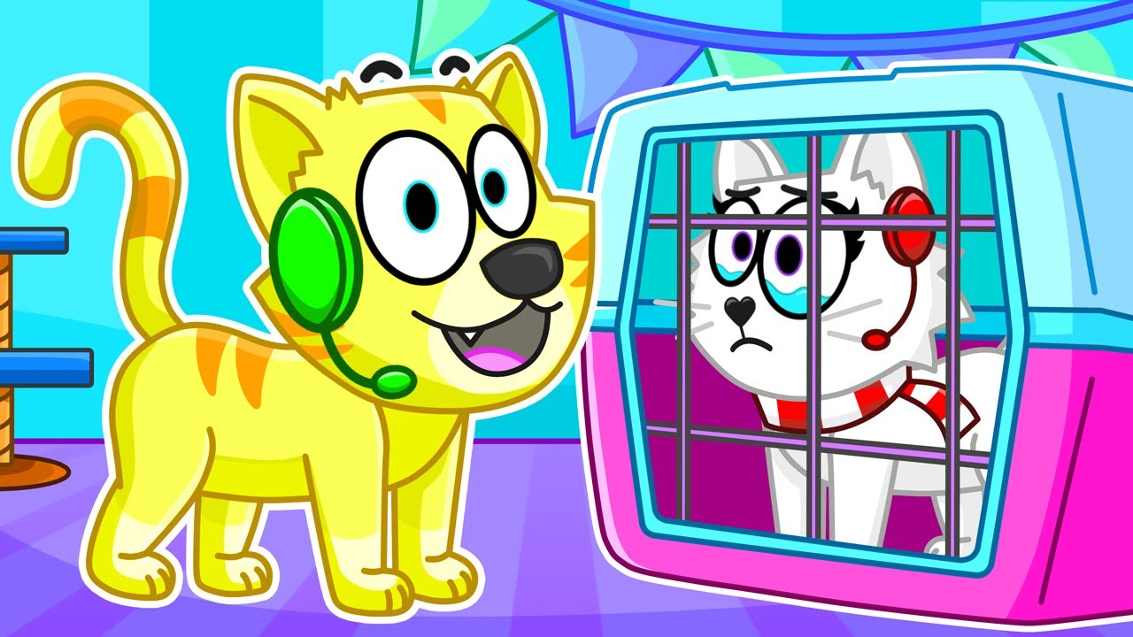 We're CATS in Roblox Hide & Seek! background