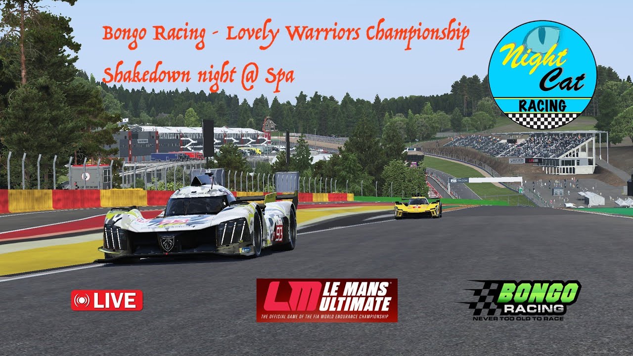 Night Cat Racing - Bongo Lovely Warriors Championship Shakedown night - LMU background