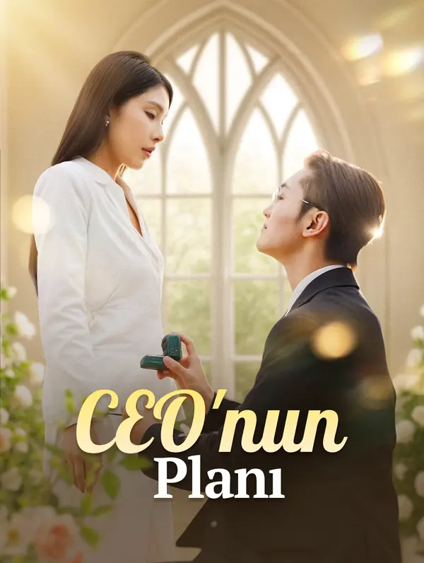 CEO'nun Planı poster