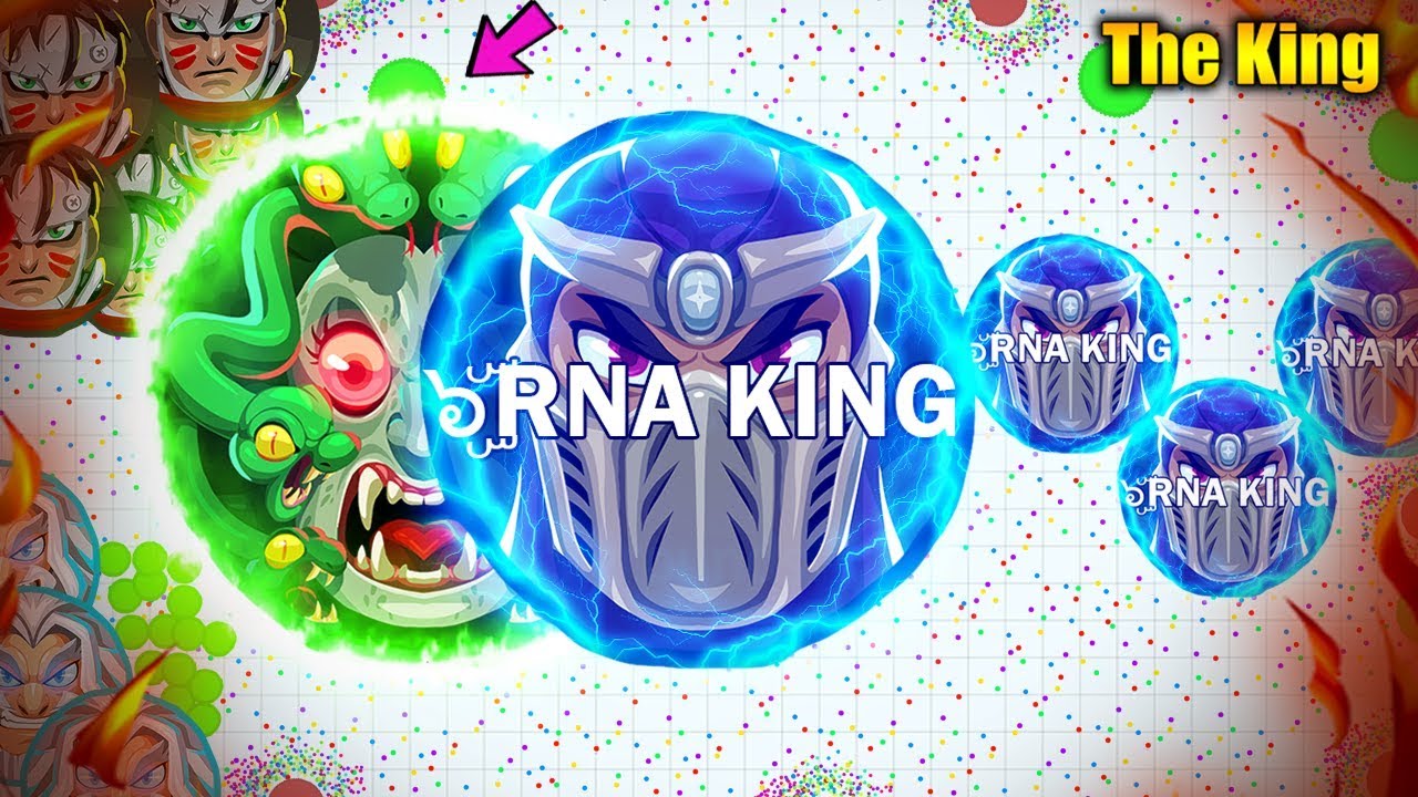 The King Of Agar.io background