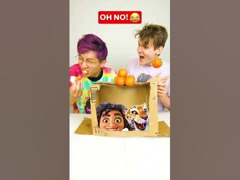 ENCANTO MYSTERY BOX CHALLENGE! #shorts #lankybox background