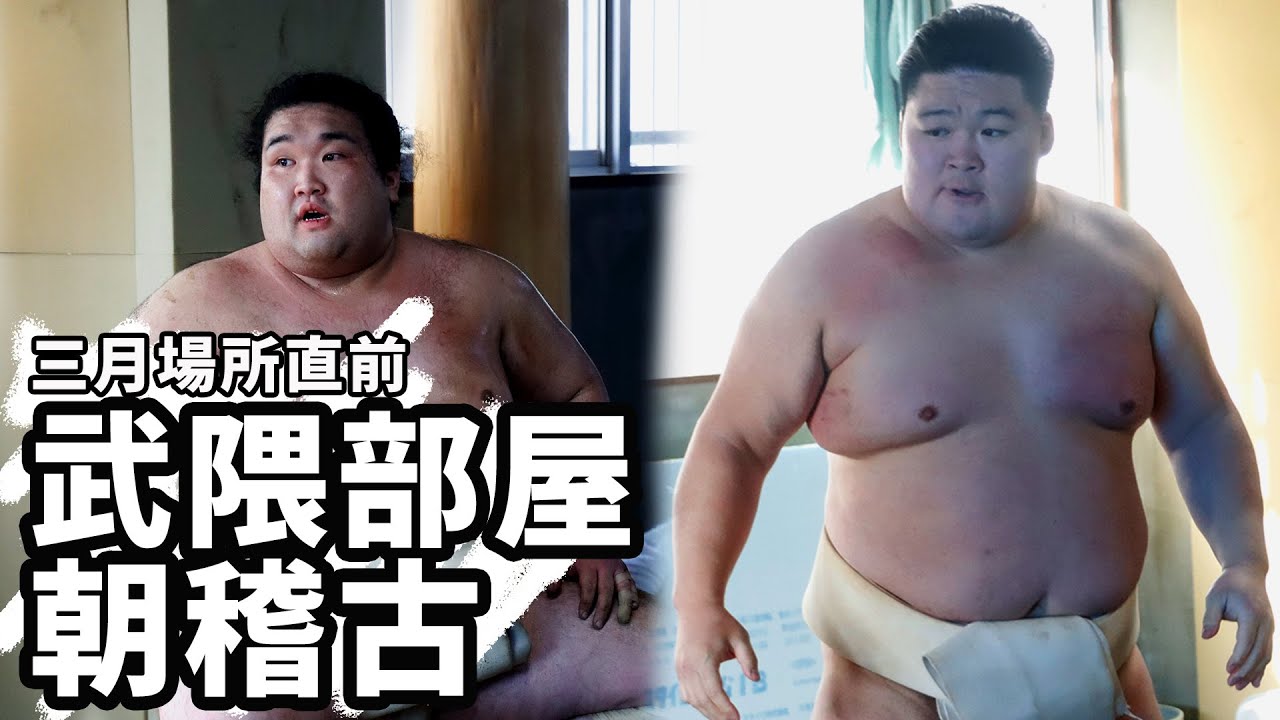 【相撲部屋の朝稽古】武隈部屋編<令和5年三月場所直前>SUMO