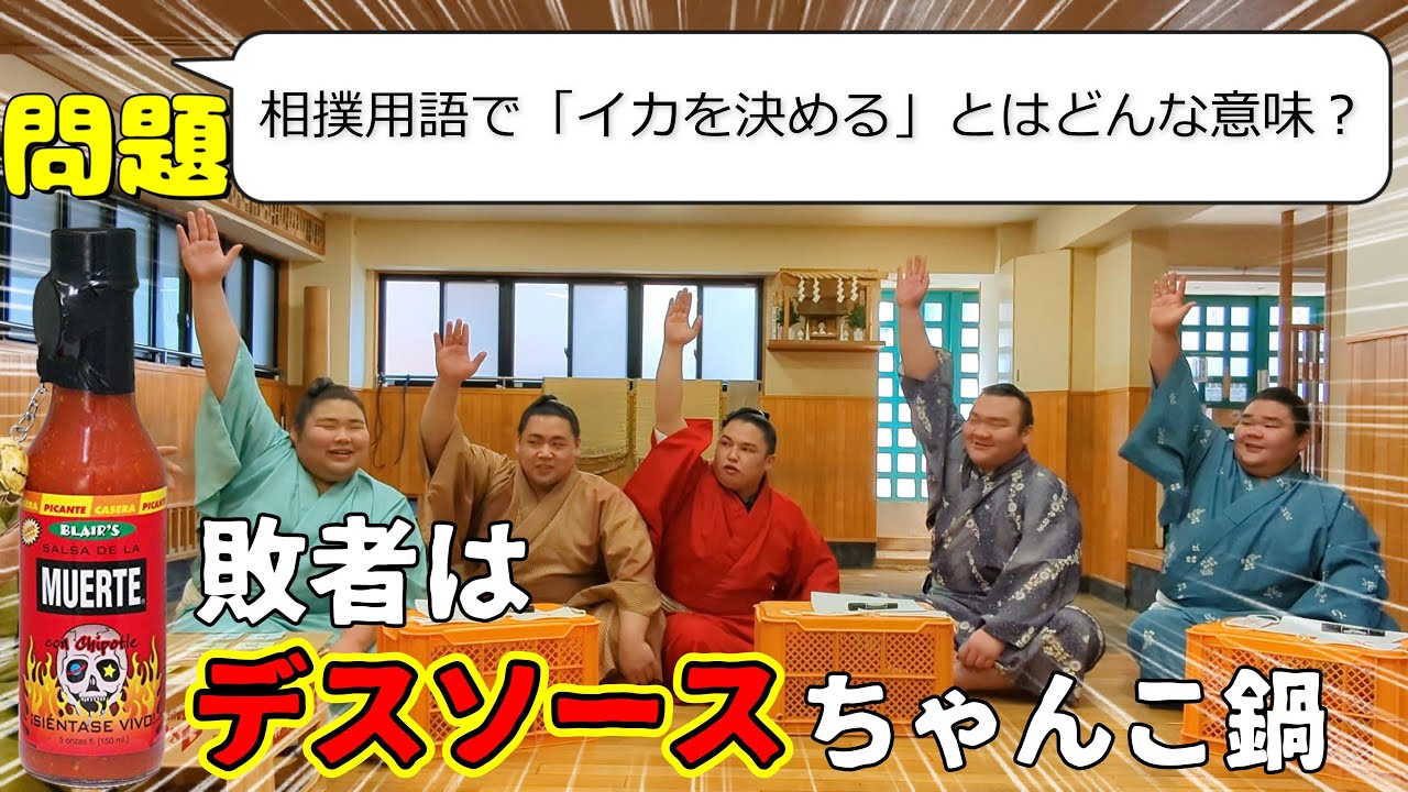 【相撲部屋】錣山部屋のクイズ大会!楽しく相撲を学ぼうじゃないか! background